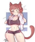  animal_humanoid big_breasts bottomwear breasts cat_humanoid cleavage clothed clothing felid felid_humanoid feline feline_humanoid female hi_res humanoid inkbuns mammal mammal_humanoid nipple_outline one_eye_closed shorts solo wide_hips 