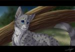  2014 ambiguous_gender blakc_bars blue_eyes day detailed_background digital_media_(artwork) domestic_cat felid feline felis feral fur grey_body grey_fur lynjox lynxyjones mammal outside solo spots spotted_body spotted_fur whiskers 