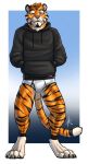  anthro black_clothing black_hoodie black_topwear briefs bulge clothing drawyourfursona felid hi_res hoodie hoodie/briefs_meme hufnaar hufnaar_(character) male mammal meme meme_clothing pantherine simple_background smug solo standing tiger topwear underwear white_clothing white_underwear 