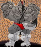  2019 abstract_background anthro back_groove bare_back big_muscles canid canine clothing fierglief flexing fur hi_res huge_muscles hyper hyper_muscles male mammal multicolored_body multicolored_fur muscular muscular_anthro muscular_male mutlicolored_hair plantigrade rear_view solo standing swaggy underwear veiny_muscles 