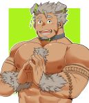  abs animal_humanoid anthro clothed clothing collar dark_skin fur gomesia grey_body grey_fur grey_hair hair hi_res humanoid live-a-hero male muscular muscular_male nipples pecs ratontheraccoon solo topless 