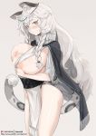  1girl animal_ear_fluff animal_ears arknights artist_name bamuth belt black_capelet blush breasts bright_pupils capelet commentary grey_eyes hand_on_own_chest head_chain highres jewelry large_breasts leopard_ears leopard_girl leopard_tail long_hair looking_at_viewer multiple_belts nipples pelvic_curtain pramanix_(arknights) side_braids silver_hair solo tail thick_eyebrows turtleneck unaligned_breasts white_pupils 