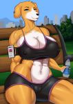  2020 5_fingers absurd_res anthro armband athletic athletic_anthro athletic_female bench big_breasts black_nose blue_eyes bodily_fluids bottle bottomwear bra breasts camel_toe canid canine canis cellphone city cityscape cleavage clothed clothing detailed_background domestic_dog earbuds female fingers floppy_ears goldcrustedchicken grass headphones hi_res holding_bottle holding_object hotpants huge_breasts looking_at_viewer mammal midriff muscular muscular_female navel nipple_outline outside phone shorts sitting smile solo sports_bra sweat thick_thighs tree underwear water_bottle wide_hips 