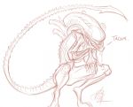  aerosaur83 alien alien_(franchise) ambiguous_gender anthro sketch solo xenomorph 