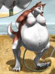  2011 air_(disambiguation) air_inflation anthro anthrofied areola balto_(film) beach belly belly_inflation big_belly canid canine canis clitoris close-up domestic_dog female fur genitals husky hyper hyper_belly hyper_inflation inflation inner_ear_fluff jenna_(balto) looking_down mammal multicolored_body multicolored_fur navel nipples nordic_sled_dog outie_navel paws penetration pink_areola pumping pussy rana_(artist) red_body red_fur seaside signature solo spitz standing tuft two_tone_body two_tone_fur vaginal vaginal_penetration white_body white_fur zorro_re 