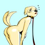  1:1 absurd_res anthro backsack balls beastars bird_dog butt canid canine canis collar collar_only colored domestic_dog genitals hi_res hunting_dog jack_(beastars) labrador looking_at_viewer male mammal milkytila nude petplay retriever roleplay side_view solo submissive submissive_male tailwag 