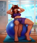  2020 4_toes anthro athletic athletic_anthro athletic_female barefoot biped black_nose bottomwear bra brown_body brown_fur brown_hair canid canine canis claws clothing digital_media_(artwork) exercise exercise_ball female fur gym hair hands_behind_head hi_res mammal medicine_ball miosha navel shorts sit_up solo sports_bra tani_rinkan toes topwear underwear wolf workout workout_clothing 
