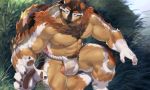  1boy abs absurdres animal_ears bara boogbogex brown_fur bulge chest chest_hair feet_out_of_frame fingernails flaccid fox_boy fox_ears fox_tail fundoshi furry grass highres japanese_clothes male_focus muscle navel nipples orange_eyes orange_fur original penis precum sharp_fingernails short_hair sitting solo tail thick_thighs thighs underwear underwear_only whiskers white_fur 