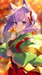  1girl ahoge animal_ear_fluff animal_ears autumn_leaves bangs blurry blurry_background blush breasts closed_mouth day depth_of_field eyebrows_visible_through_hair fringe_trim green_kimono hair_ribbon hakama highres holding holding_leaf japanese_clothes kimono komari_channel leaf long_hair long_sleeves looking_at_viewer maple_leaf medium_breasts outdoors purple_eyes purple_hair red_hakama ribbon sakura_komari shawl shiika_yuno smile solo thick_eyebrows tree virtual_youtuber white_ribbon wide_sleeves 