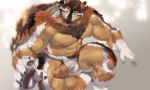  1boy abs absurdres animal_ears bara boogbogex brown_fur bulge chest chest_hair cum cum_string erection erection_under_clothes feet_out_of_frame fingernails foreskin fox_boy fox_ears fox_tail fundoshi furry highres japanese_clothes male_focus muscle navel nipples orange_eyes orange_fur original penis precum sharp_fingernails short_hair sitting solo tail thick_thighs thighs tongue tongue_out underwear underwear_only whiskers white_fur 
