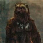  1:1 anthro male male/male mammal mustela mustelid musteline solo stoat wolverine 