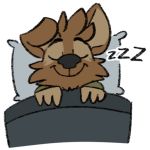  1:1 alpha_channel anthro bed canid canine canis clothing domestic_dog eyes_closed furniture green_clothing green_shirt green_topwear male mammal matt_riskely pillow shirt sleeping smile solo sound_effects tinydeerguy topwear zzz 