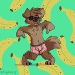  1:1 anthro banana barefoot boxer_briefs bulge canid canine canis clothed clothing detailed_background domestic_dog english_text eyewear food fruit hi_res male mammal matt_riskely pink_clothing pink_underwear plant printed_underwear solo sunglasses text tinydeerguy topless underwear 