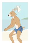  9x9 anthro antlers beach cervid clothed clothing hi_res horn humor looking_at_viewer male mammal seaside solo sport swimwear topless volleyball water 