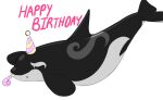 absurd_res aquatic birthday black_body black_eyes black_fin cetacean cetacean_tail clothing dolphin dolphinproject dorsal_fin eclipse eclipse_(orca621) feral fin happy_birthday hat headgear headwear hi_res male mammal oceanic_dolphin orca party_hat simple_background solo toothed_whale whale white_background