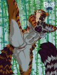 abs absurd_res anthro athletic athletic_anthro athletic_female bamboo bodily_fluids bottomless bottomless_anthro bottomless_female breasts clitoral_hood clitoris clothed clothing digital_media_(artwork) dreamworks felid female fighting_pose fingers flexible floraldeath fur genital_fluids genitals hi_res kung_fu_panda leaking looking_at_viewer mammal master_tigress navel on_one_leg one_leg_up pantherine pawpads plant pose pussy_juice_leaking raised_leg solo splits spread_legs spreading standing tail tiger topwear vaginal_fluid_string vaginal_fluids vertical_splits vulva