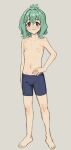  1boy :3 barefoot blue_male_swimwear brown_eyes bulge closed_mouth collarbone commentary english_commentary folded_ponytail full_body furrowed_brow green_hair grey_background groin hair_between_eyes hair_intakes hand_on_own_hip highres invisible_floor light_blush looking_at_viewer male_focus male_swimwear medium_hair navel nipples otori_tan puffy_chest ricman_rt seitokai_ni_mo_ana_wa_aru! sidelocks simple_background smile solo standing stomach topless_male trap 
