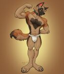 2026 alibi_47 anthro armpit_hair athletic athletic_male biceps black_claws black_nipples black_nose body_hair brown_background brown_body brown_fur brown_inner_ear_fluff bulge canid canine cheek_tuft claws clothed clothing collar countershading dipstick_tail eyebrows facial_tuft flexing forearm_muscles fur gradient_background grey_collar head_tuft hi_res inner_ear_fluff jockstrap looking_at_viewer male male_anthro mammal markings mostly_nude_male nipples pawpads red_eyes signature simple_background smile solo standing tail tail_markings tan_body tan_fur triceps tuft underwear underwear_only whisker_spots whiskers white_clothing white_jockstrap white_underwear