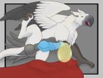 4:3 absurd_res avian balls bed_sheet bedding blue_penis bodily_fluids condom feathers feet feral forge_(slacker104) fur genital_fluids genitals grey_balls grey_body grey_feathers grey_fur gryphon hi_res knot knotted_penis lying male mythological_avian mythological_creature mythology on_side paws penile_spines penis presenting red_sheets ridged_knotted_penis sexual_barrier_device slacker104 solo talons toes urine urine_in_condom watersports white_body white_feathers white_fur yellow_eyes