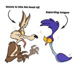 absurd_res anthro avian bird bodily_fluids canid canine canis coyote cuculiform drooling duo english_text eyes_closed hasn't_kissed_anyone_ever_vs_expecting_a_kiss_with_tongue_(meme) heart_symbol hi_res imminent_kiss imminent_vore looney_tunes male male/male mammal marieevi new_world_ground_cuckoo open_mouth road_runner_(looney_tunes) roadrunner saliva text tongue tongue_out warner_brothers wile_e._coyote