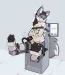 4_toes anthro barefoot bdsm bdsm_gear belt black_nose blush bound brown_hair canid canine canis canvas_straitjacket chair cheek_tuft claws cord dalian_(sentharn) electronics eyes_closed facial_tuft feet fur furniture genitals grey_body grey_fur hair hi_res laugh long_hair machine male mammal milking_machine monitor onomatopoeia open_mouth overstimulation pawpads paws penile penis penis_milking penis_milking_machine plantigrade restraints rollers scottydoesstuff sharp_teeth sitting solo sound_effects straitjacket straps submissive submissive_male tail teeth text tickling tickling_feet tickling_machine timer timer_display toe_claws toes tuft wolf