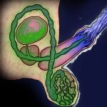 1:1 absurd_res balls balls_expansion bladder_penetration bodily_fluids cum cum_exchange docking duo ejaculation expansion foreskin genital_expansion genital_fluids genitals hi_res humanoid infection infestation infesticles internal kiseichuu male male/male not_furry parasite penetration penile penis prostate_penetration sex sperm_cell spermicidal_takeover tentacle_creature tentacle_penetration tentacles transformation transformation_through_sex urethral urethral_penetration urine watersports