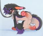 amphimorpho anthro blush blush_lines bodily_fluids breath collar digital_media_(artwork) feet fur genital_fluids genitals hair hi_res leash leashed_collar pawpads paws peeing raised_leg simple_background solo tail toes urine urine_stream vulva watersports wuff34