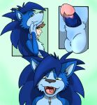 2013 4_fingers animal_genitalia animate_inanimate anthro athletic athletic_anthro athletic_male balls bangs biped blue_body blue_fur blue_hair blue_penis bound brown_hair cel_shading cheek_tuft claws close-up clothing comic costume countershade_face countershade_torso countershading cutaway dazed digital_media_(artwork) dipstick_fingers duo encasement erection eulipotyphlan facial_tuft fangs finger_claws fingers fox0808 fur fur_hair fursuit genital_transformation genitals glans green_background green_eyes grey_claws grey_nose hair half-closed_eyes hedgehog human_to_anthro humanoid_genitalia humanoid_penis inside living_clothing living_costume living_fursuit looking_at_another looking_back looking_down male mammal mane mask masking merging mid_transformation multicolored_body multicolored_fur narrowed_eyes open_mouth penis shaded sharp_teeth sheath simple_background slim smaller_version_at_source smile snout solo species_transformation spiky_mane suit_transformation suiting teeth tongue transformation tuft uvula zing_(character) zipped_up zipper zipper_pull_tab