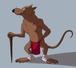  anthro asian_clothing bandage blue_background cane clothing east_asian_clothing fundoshi japanese_clothing male mammal master_splinter murid murine navel rat red_clothing red_underwear rodent shadow simple_background solo teenage_mutant_ninja_turtles teeth_showing thegreatmatsutzu underwear 