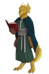  absurd_res animal_humanoid book claws clothed clothing darasv digitigrade dogscavenger dungeons_and_dragons gloves half-dragon handwear hasbro hi_res humanoid male reading reading_book robe scales scalie scalie_humanoid solo standing wizards_of_the_coast 