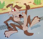  anti_dev balls cactus canid canine canis cartoon_physics coyote desert feet genitals gesture hi_res humanoid_genitalia humanoid_penis long_penis looney_tunes male mammal penis road run_over solo star thumbs_up tire_marks warner_brothers wile_e._coyote 