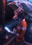  2020 anthro canid canine canis clothed clothing detailed_background digital_media_(artwork) domestic_dog hauringu holding_object male mammal night outside raining solo standing 