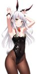  1girl 3: absurdres animal_ears apple_ringo armpits arms_up bare_arms bare_shoulders black_leotard bow bowtie breasts brown_legwear bunny_ears bunny_tail covered_navel cowboy_shot detached_collar fake_animal_ears fake_tail fishnet_legwear fishnets groin hair_ribbon hairband highleg highleg_leotard highres leotard long_hair looking_at_viewer original pantyhose playboy_bunny ribbon sidelocks silver_hair simple_background small_breasts solo standing strapless strapless_leotard tail two_side_up white_background wrist_cuffs yellow_eyes 