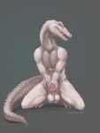  alligator alligatorid anthro balls big_balls claws cosmicsevour crocodilian erection genitals hi_res holding_penis humanoid_genitalia humanoid_penis kneeling leothealligator male nude open_mouth penis presenting presenting_penis reptile scales scalie sharp_teeth solo teeth thick_tail toe_claws white_body white_scales 