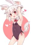  1girl :o absurdres animal_ears armpits arms_up bangs bare_shoulders black_leotard blush bow breasts bunny_ears collar covered_navel detached_collar eyebrows_visible_through_hair hair_between_eyes heart highres inubashiri_momiji kibisake leotard looking_at_viewer open_mouth outline red_background red_bow red_eyes silver_hair small_breasts solo strapless strapless_leotard tail thick_eyebrows touhou two-tone_background white_background white_collar white_outline wing_collar wolf_ears wolf_girl wolf_tail wrist_cuffs 