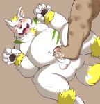  2020 4_toes 5_fingers anthro balls belly blush canid canine canis domestic_dog erection fingers foot_fetish foot_play footjob fur genitals ginnosuke hi_res kemono male mammal overweight overweight_male penis sex simple_background solo_focus toes tongue tongue_out white_body white_fur 