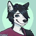  1:1 anthro black_body black_eyeshadow black_fur black_hair blue_eyes canid canine canis digital_media_(artwork) domestic_dog emo_hair emo_haircut eyeshadow facial_piercing fur girly girly_clothing hair hi_res husky makeup male mammal mirriz nordic_sled_dog nose_piercing piercing pixel_(artwork) rivey_ravenheart solo spitz white_body white_fur 