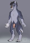 anthro athletic athletic_anthro athletic_male balls canid canine canis claws digitigrade feralfelony genitals gray_(feralfelony) grey_body hi_res humanoid_genitalia humanoid_penis male mammal nude paws penis reference_image solo standing wolf 