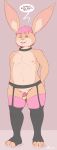  absurd_res anthro balls brownieclop chastity_cage chastity_device clothing collar digital_media_(artwork) garter_belt garter_straps genitals girly hair hi_res lagomorph leporid lingerie male mammal nipples rabbit simple_background solo submissive submissive_male tinval 