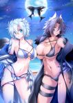 2girls absurdres anchor_symbol anger_vein ass_visible_through_thighs bangs bare_shoulders beach bikini black_bikini black_hair blue_eyes blush breast_press breasts character_request claws cleavage cloud collarbone commentary_request cowboy_shot crosscounter dark_skin dragon_girl dragon_horns dragon_tail eyebrows_visible_through_hair face_punch full_moon g_(desukingu) groin hair_between_eyes hand_on_hip heterochromia highres horns in_the_face jacket large_breasts layered_bikini long_hair looking_at_viewer midriff monster_girl moon multi-strapped_bikini multiple_girls navel night night_sky ocean off-shoulder_jacket orca original outdoors parted_bangs parted_lips pipe_in_mouth punching red_eyes rio_(g) scales scar shark short_hair sidelocks silver_hair skindentation sky standing star_(sky) starry_sky swimsuit tail thigh_strap tsubasa_ryuuji underboob whale white_bikini white_jacket yellow_eyes 