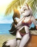  4:5 abluedeer anthro beach beverage big_breasts bikini bodily_fluids breasts canid canine cleavage clothed clothing fan_(disambiguation) female fox fur hair hi_res holly_(abluedeer) long_hair mammal navel outside palm_tree seaside skimpy sky solo sun sweat swimwear tree tropical water white_body white_fur white_hair 
