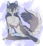  2020 anthro areola blue_body blue_eyes blue_fur blue_hair blue_nipples breasts canid canine canis digital_media_(artwork) domestic_dog female fur gimka hair looking_at_viewer mammal nipples nude sitting smile solo 