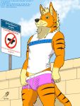 3:4 absurd_res anthro bottomwear canid canine canis clothing domestic_dog drekkorwolfsoul hi_res male mammal shorts solo swimming_trunks swimwear 