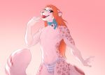  5_fingers accelo_(character) anthro clothed clothing digital_media_(artwork) eyebrows eyelashes felid fingers fur male mammal open_mouth pantherine pink_body pink_fur smile smileeeeeee snow_leopard solo spots spotted_body spotted_fur teeth tongue topless 