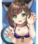  1girl :d absurdres animal_ears bangs bikini blue_bikini blue_nails border breasts brown_hair cat_ears cat_tail cleavage collarbone fangs front-tie_bikini front-tie_top green_eyes highres idolmaster idolmaster_cinderella_girls jewelry leaning_forward long_hair looking_at_viewer maekawa_miku nail_polish navel necklace open_mouth ouuxuuo pillarboxed shiny shiny_hair skin_fangs small_breasts smile solo swimsuit tail upper_body v-shaped_eyebrows white_border 