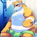  1:1 2020 allstatus3 anthro balls barely_visible_balls barely_visible_genitalia belly blush canid canine canis detailed_background domestic_dog fur genitals hi_res inside kemono male mammal moobs navel nipples overweight overweight_anthro overweight_male sitting solo towel white_body white_fur 