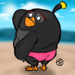  1:1 2020 absurd_res angry_birds anthro avian beach belly black_body bomb_(angry_birds) clothing hi_res outside overweight overweight_anthro seaside solo trashtoonz underwear video_games 
