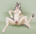  anatomically_correct anatomically_correct_genitalia anatomically_correct_pussy animal_genitalia animal_pussy anthro anus azashar bodily_fluids breasts caffeine3 canid canine canine_pussy canis chest_tuft ears_back female fur genital_fluids genitals grey_body grey_fur looking_at_viewer mammal multicolored_body multicolored_fur pawpads paws pillarbox pivoted_ears pussy pussy_juice solo spread_legs spread_pussy spreading tongue tongue_out tuft two_tone_body two_tone_fur wet white_body white_fur wolf 