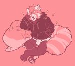  absurd_res ailurid anthro bariumfox black_clothing black_hoodie black_topwear briefs clothing drawyourfursona hi_res hoodie hoodie/briefs_meme male mammal meme meme_clothing red_panda simple_background sitting solo topwear underwear white_clothing white_underwear 