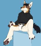  anthro black_clothing black_hoodie black_topwear briefs bulge canid canine canis clothing domestic_dog drawyourfursona hi_res hoodie hoodie/briefs_meme male mammal meme meme_clothing simple_background sitting softdoodles solo topwear underwear white_clothing white_underwear 